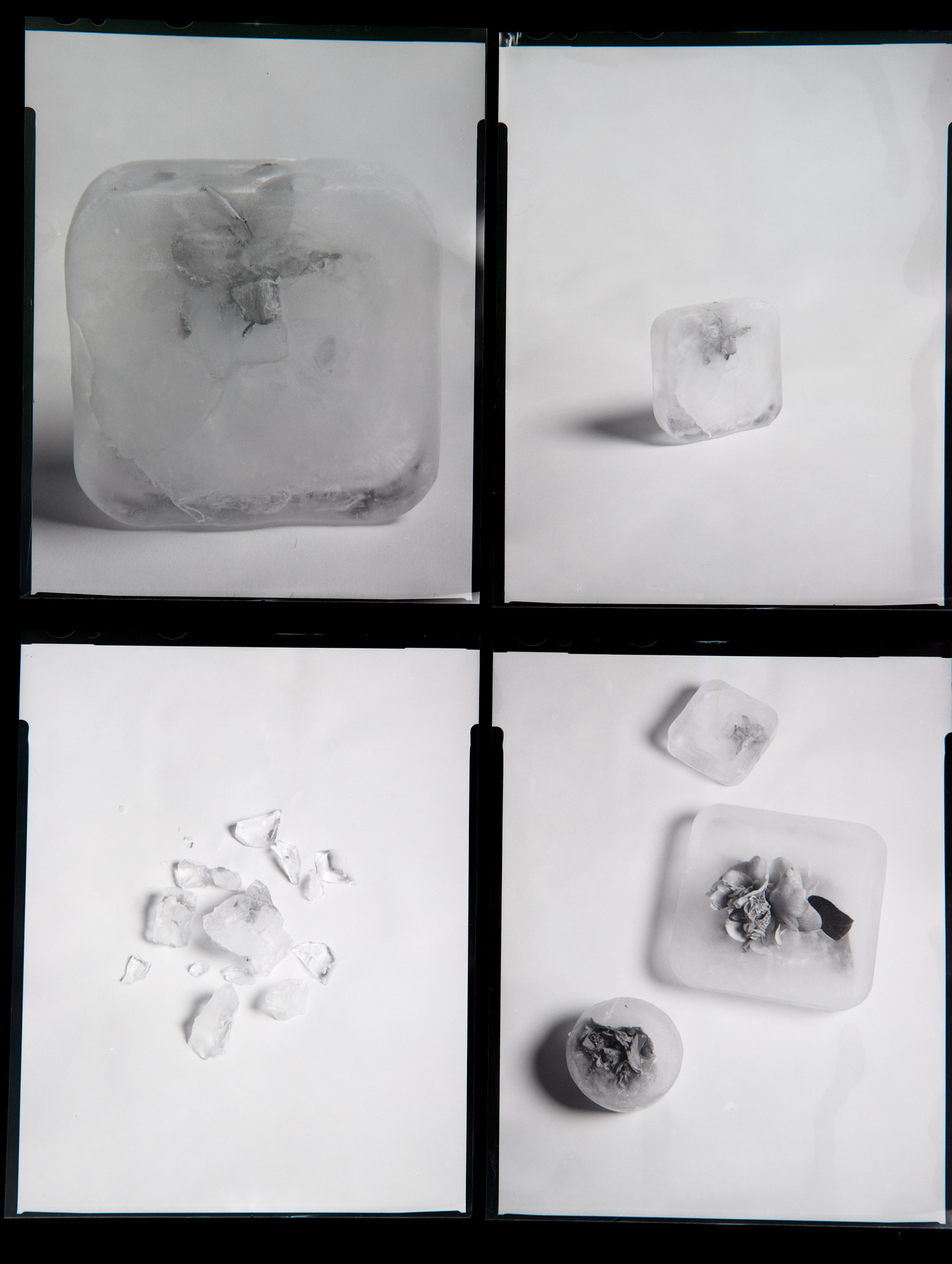 ContactSheet_0002